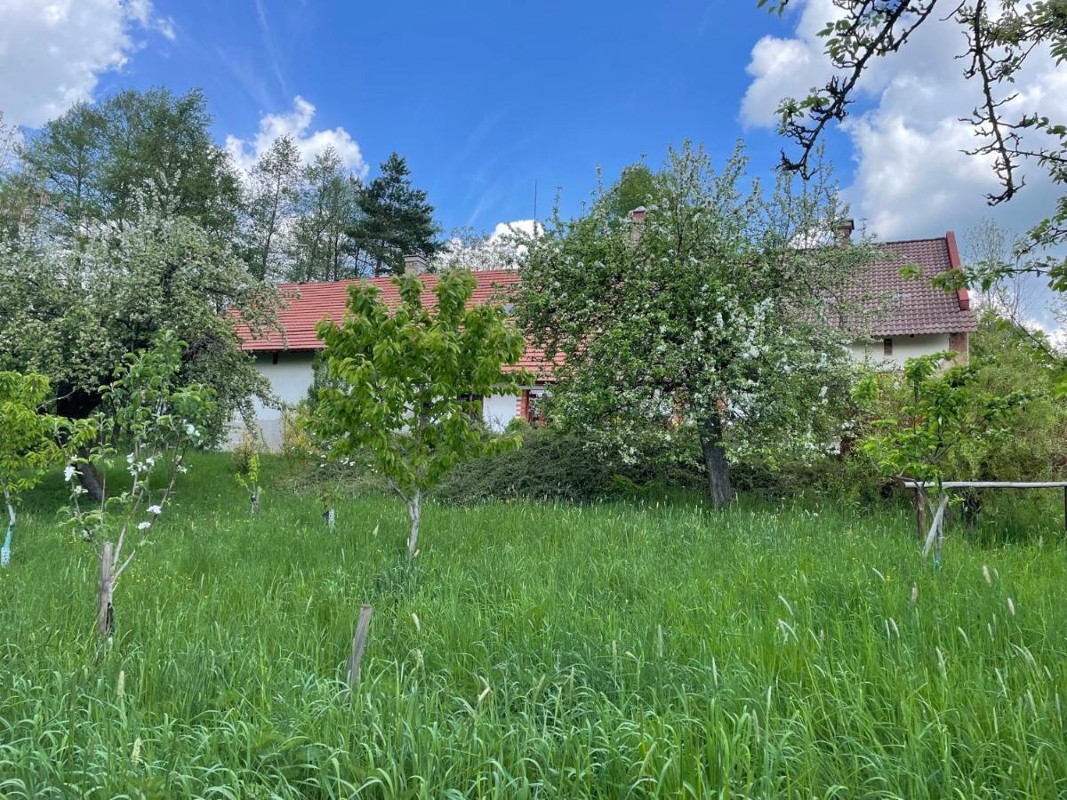 Hlinné v Orlických horách Dobré Exterior foto